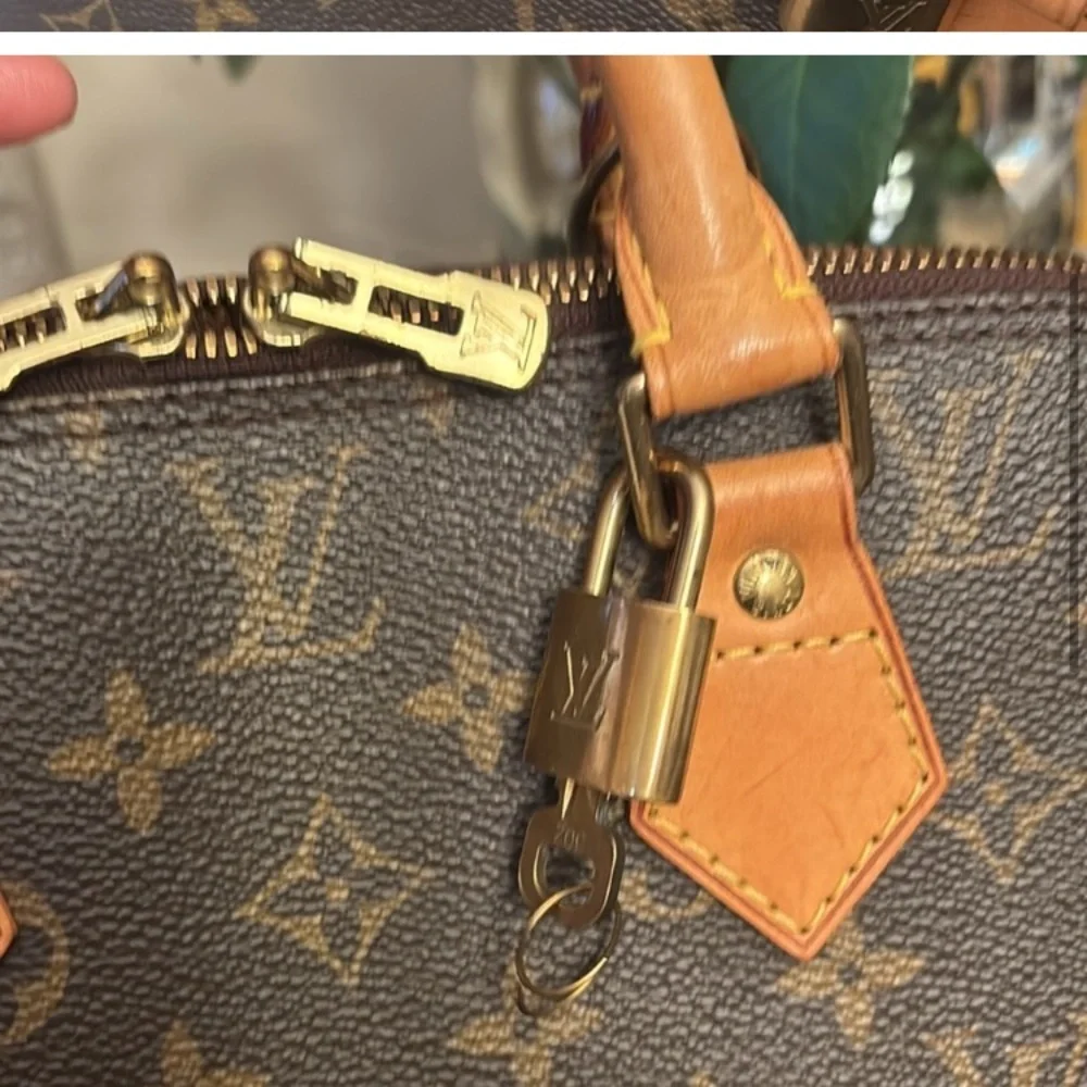 Louis Vuitton AlmaMonogram Handbag